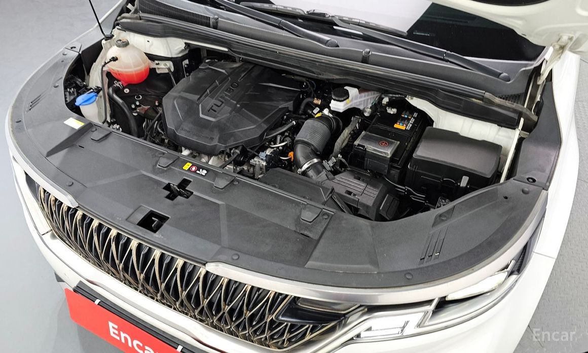  Kia Canival