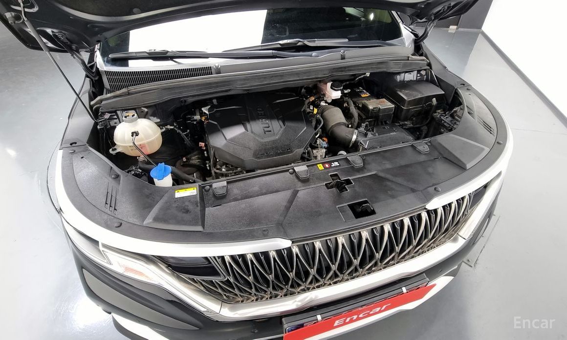  Kia Canival