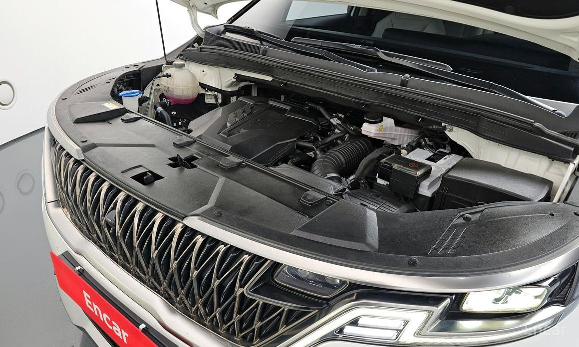  Kia Canival