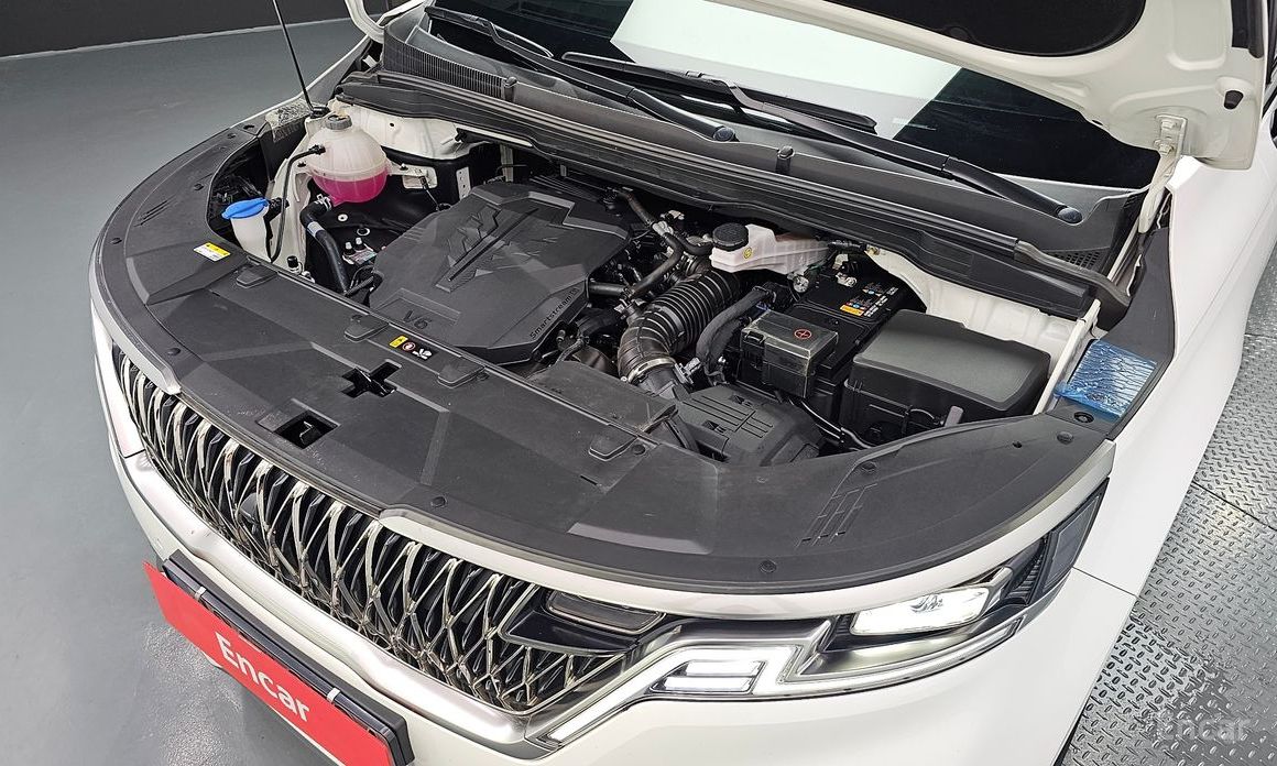  Kia Canival