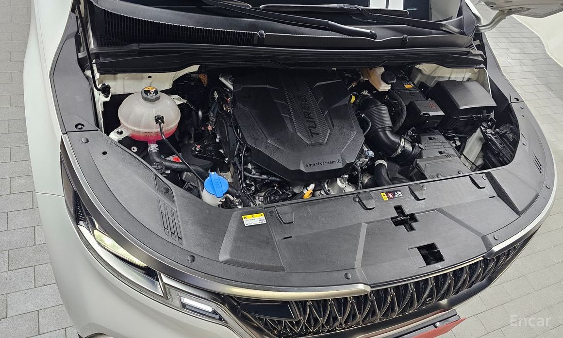  Kia Canival