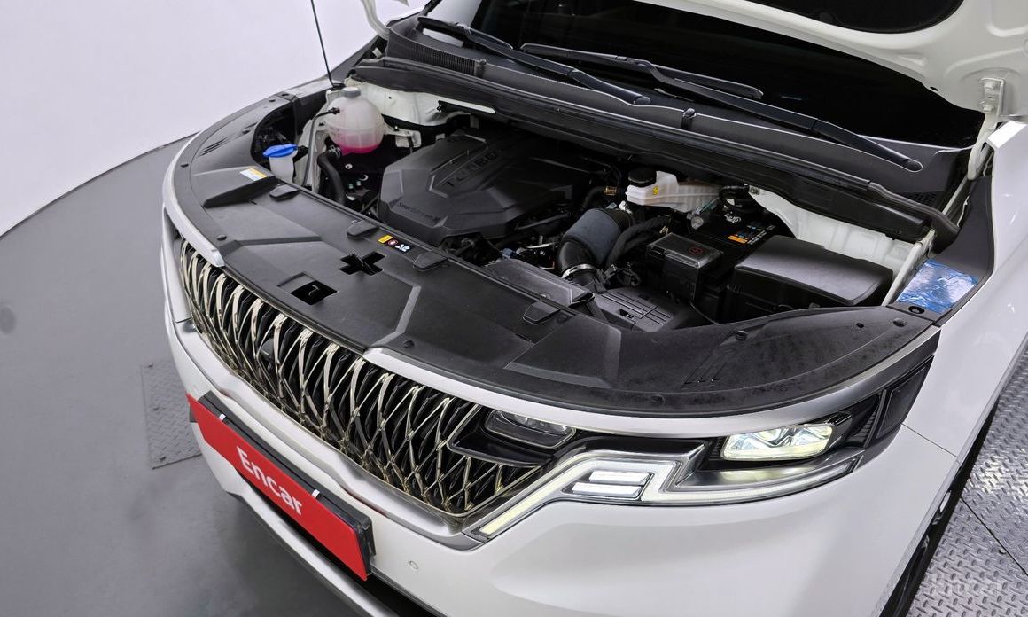  Kia Canival