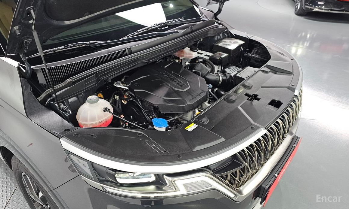  Kia Canival