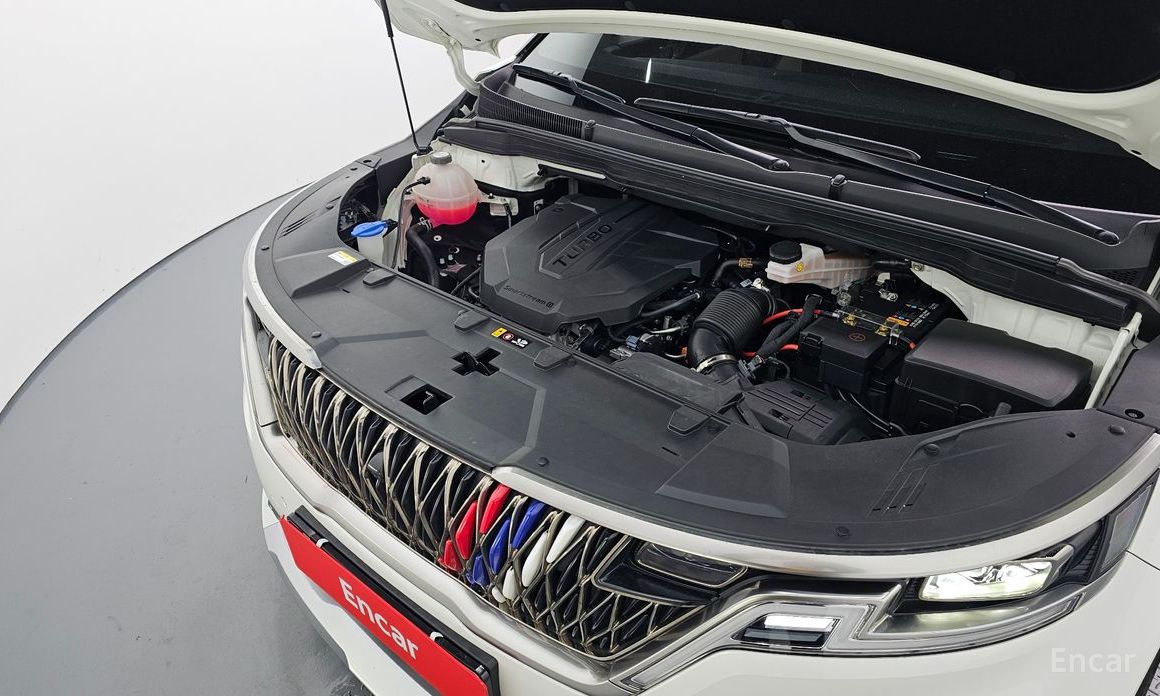  Kia Canival