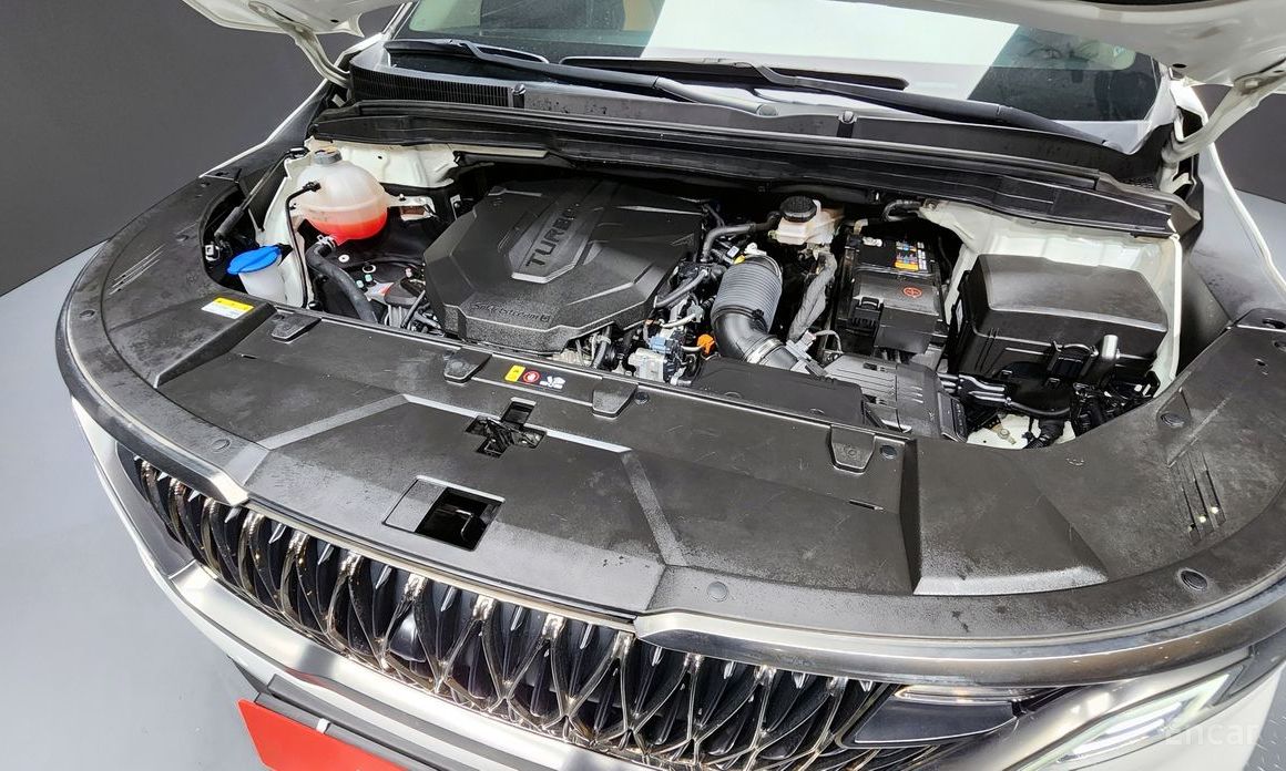  Kia Canival