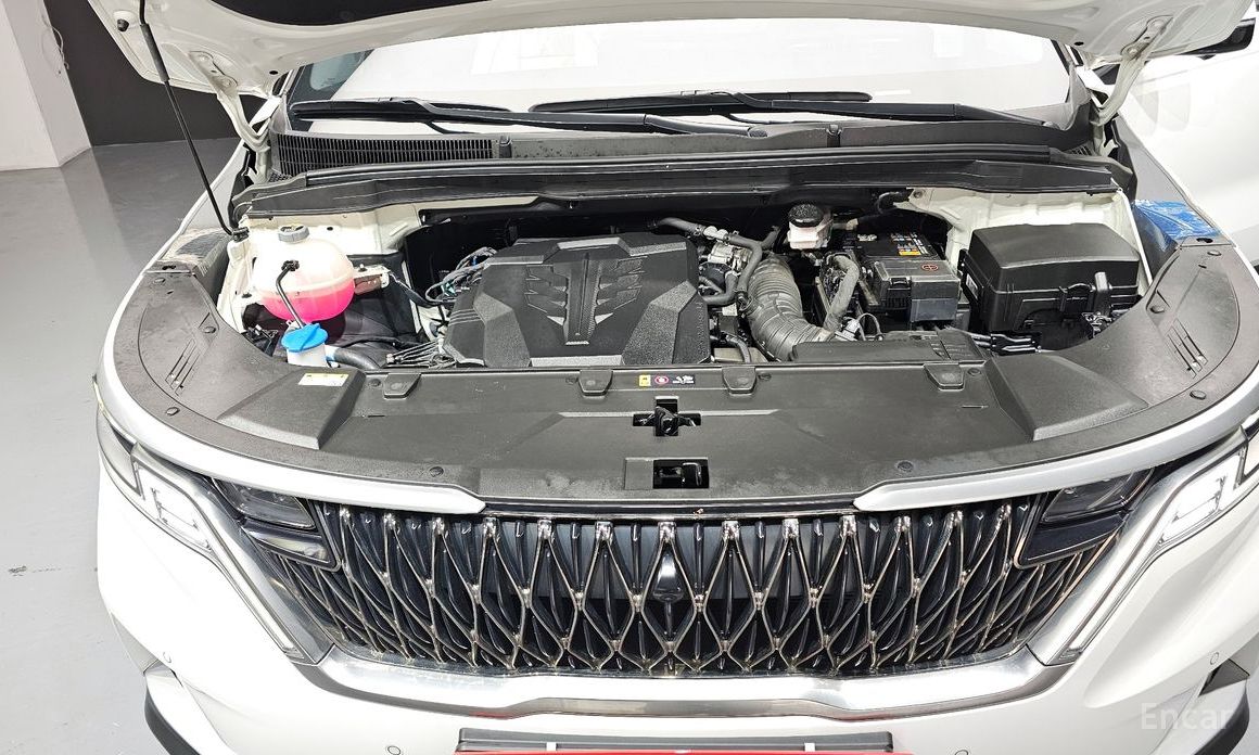  Kia Canival