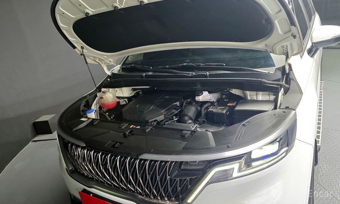  Kia Canival