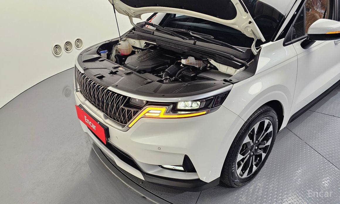  Kia Canival