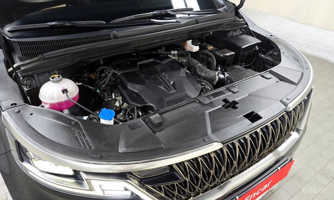  Kia Canival