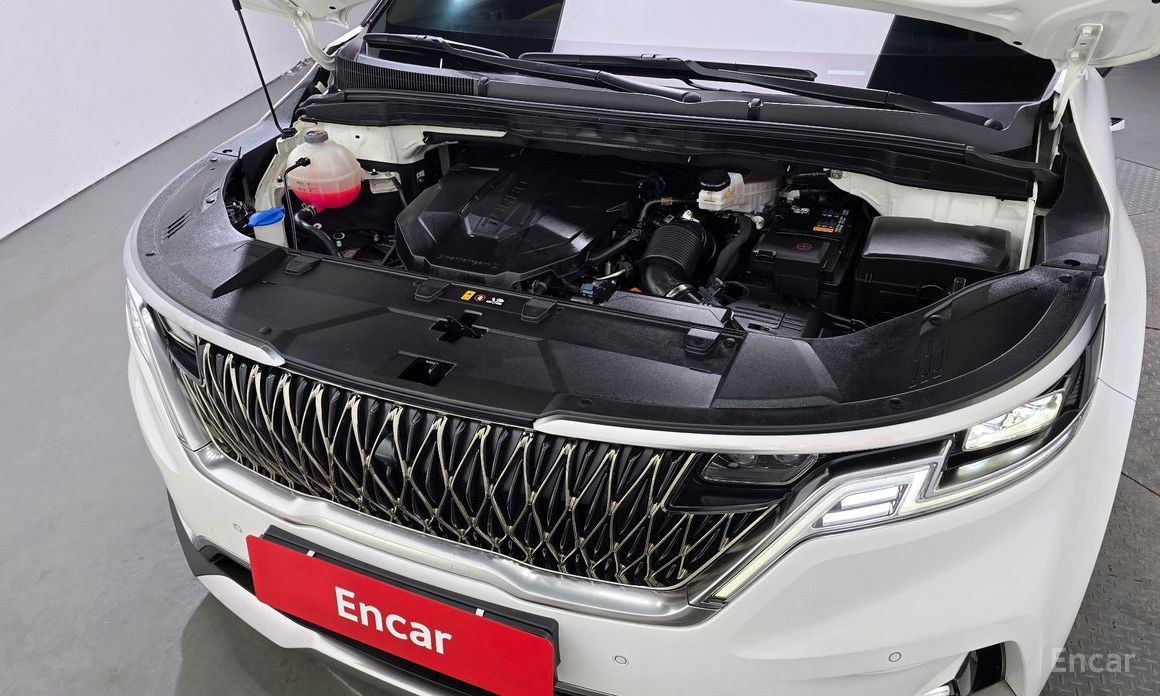  Kia Canival