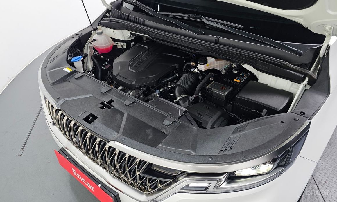  Kia Canival