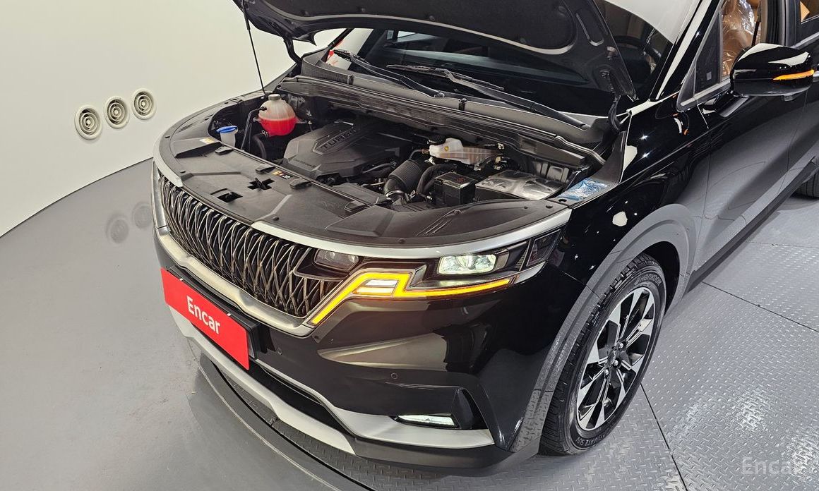 Kia Canival