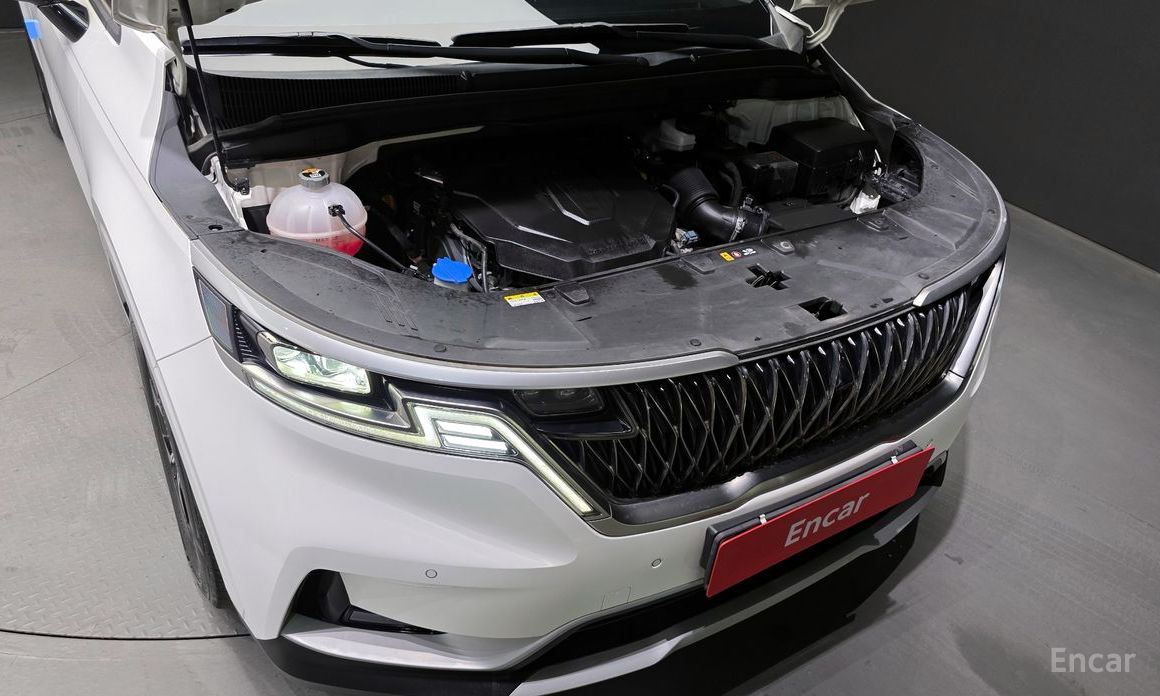  Kia Canival