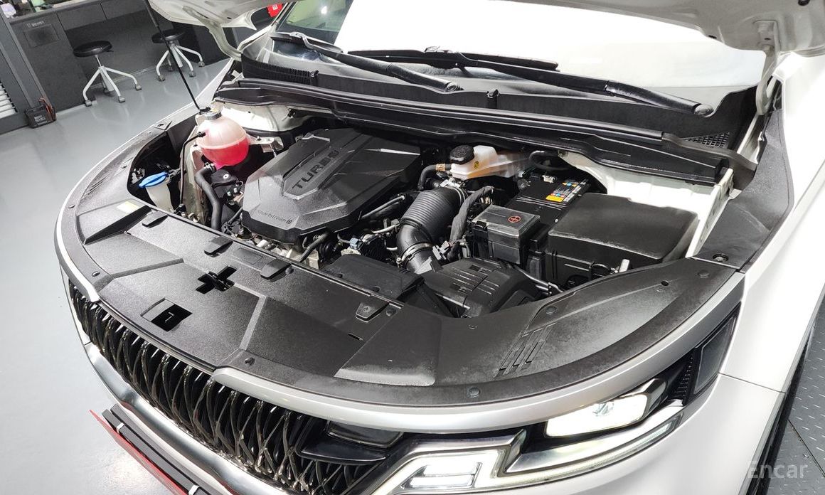 Kia Canival