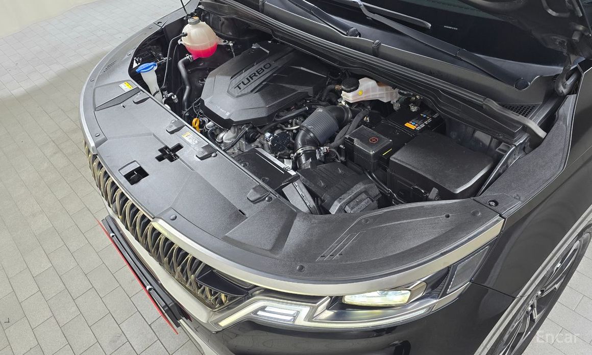  Kia Canival