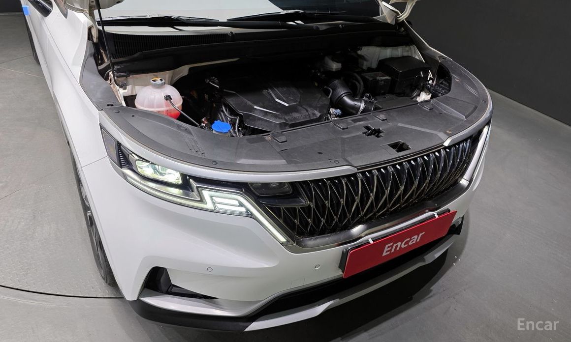  Kia Canival