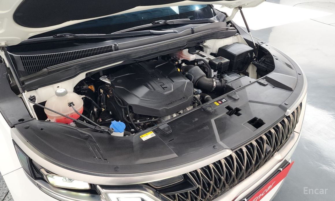  Kia Canival