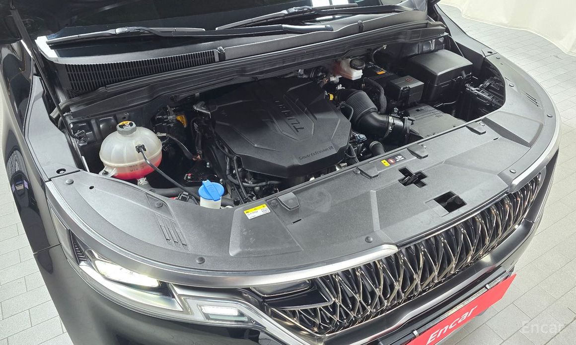  Kia Canival