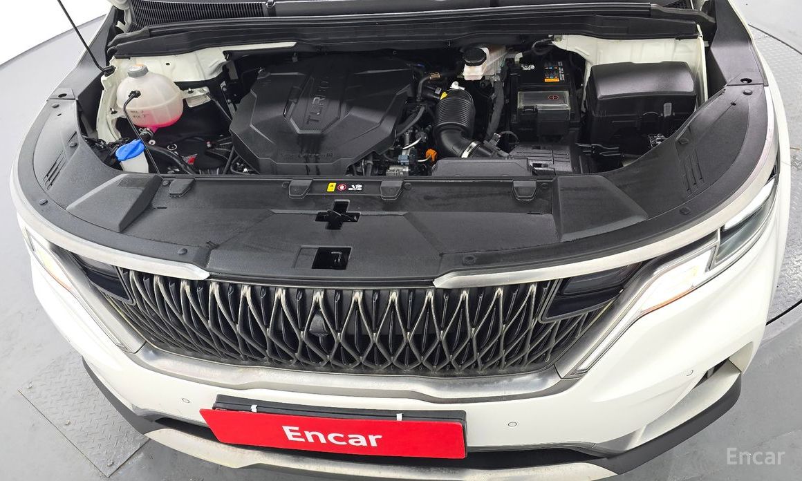  Kia Canival
