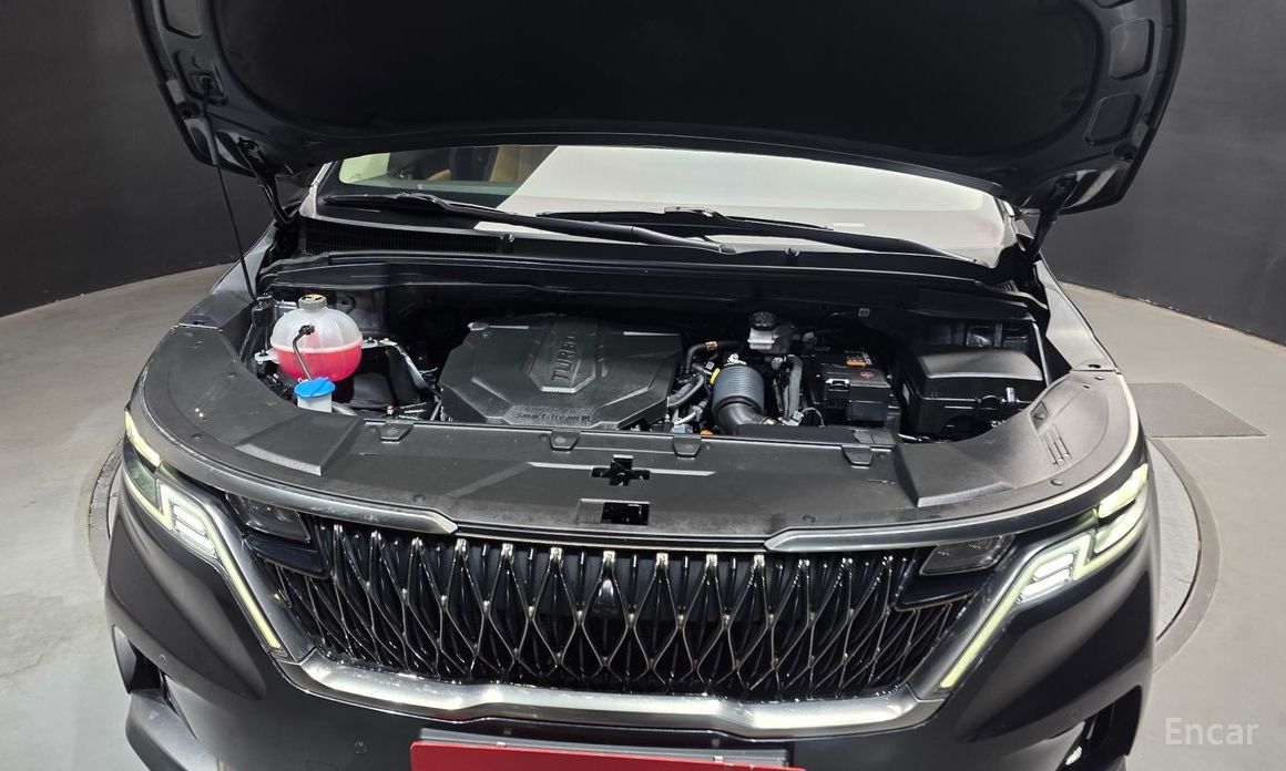  Kia Canival