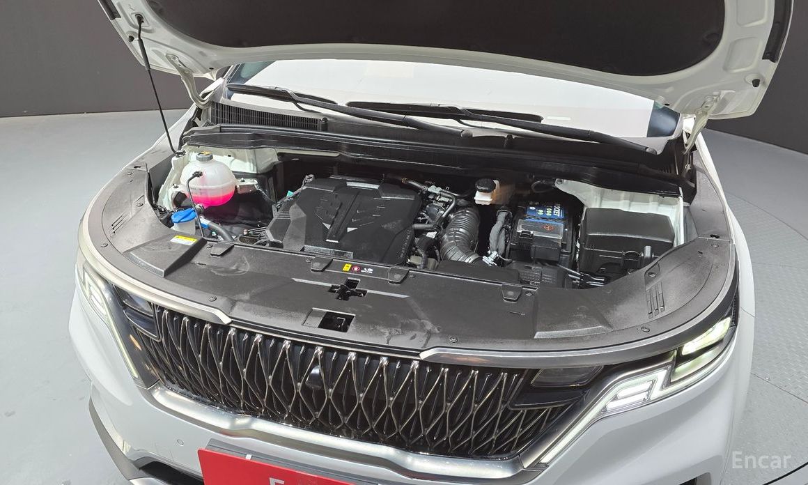  Kia Canival