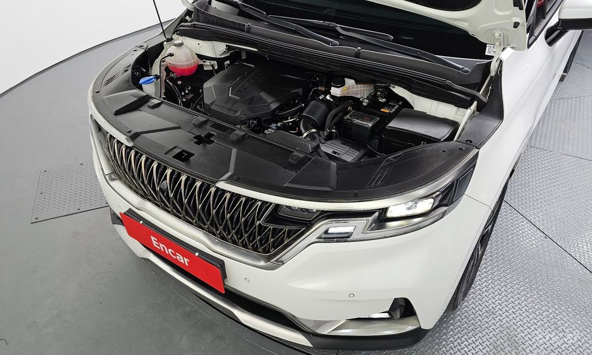  Kia Canival