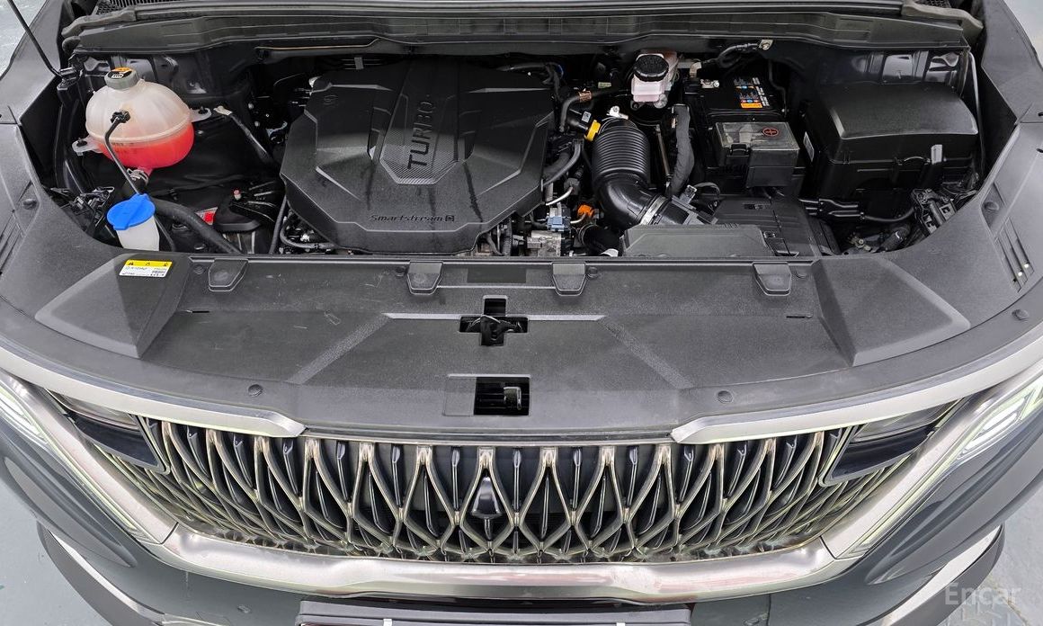  Kia Canival