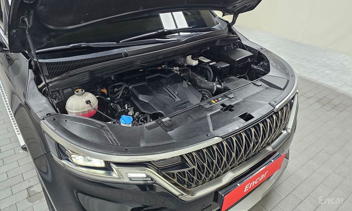  Kia Canival