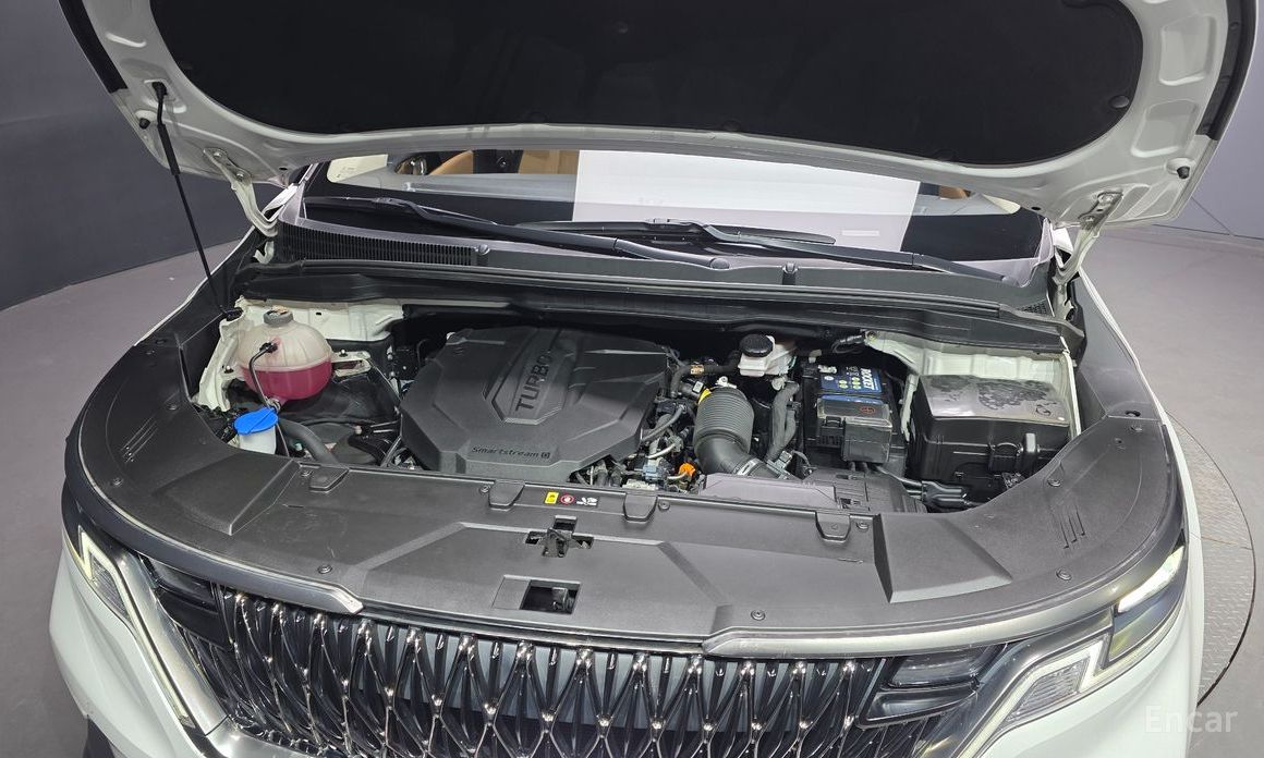  Kia Canival