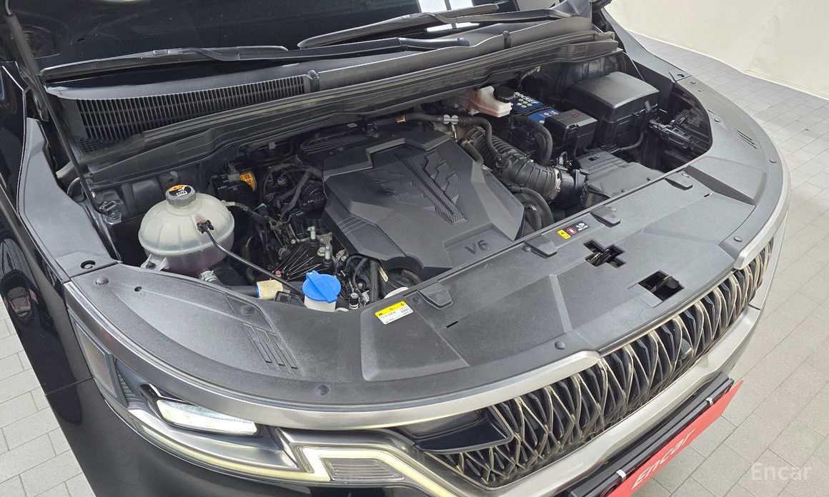  Kia Canival