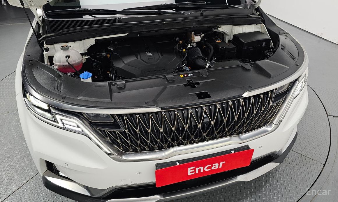  Kia Canival