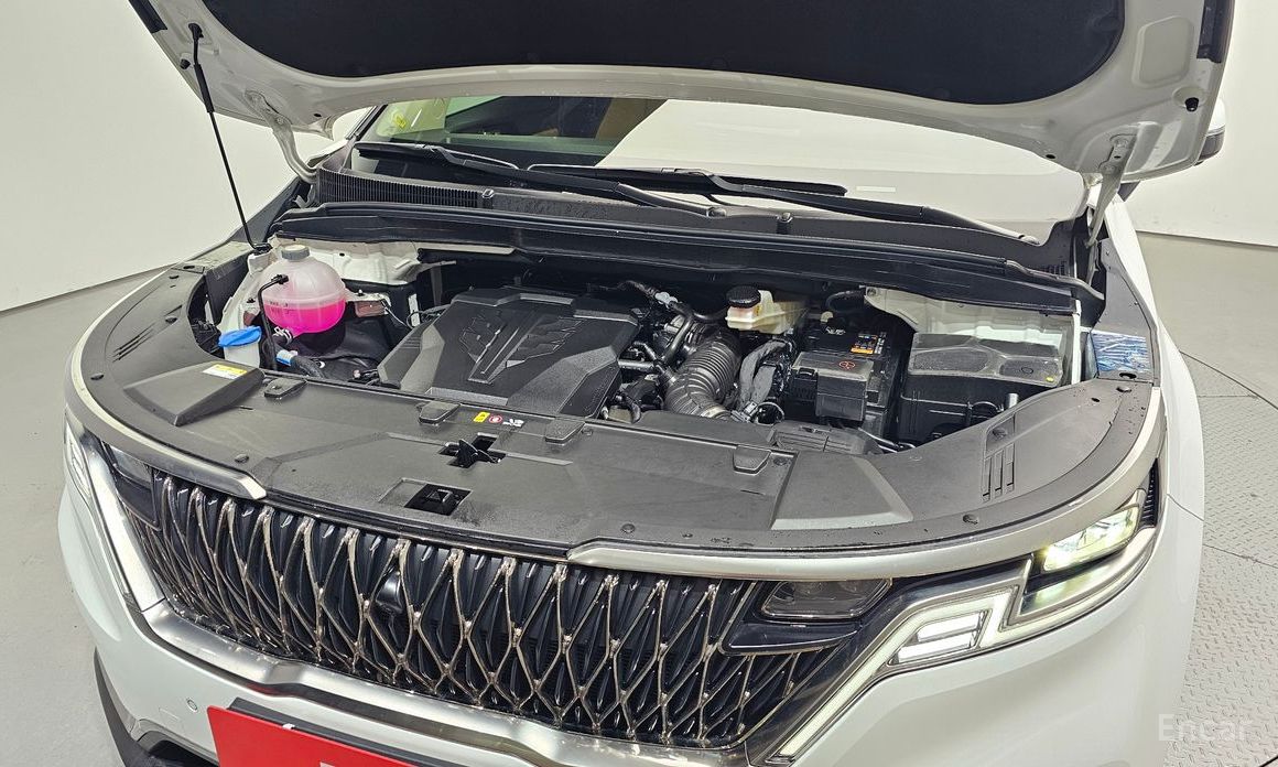  Kia Canival