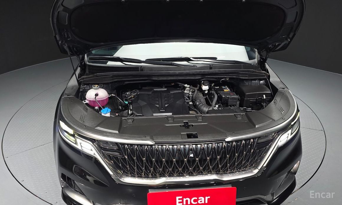  Kia Canival