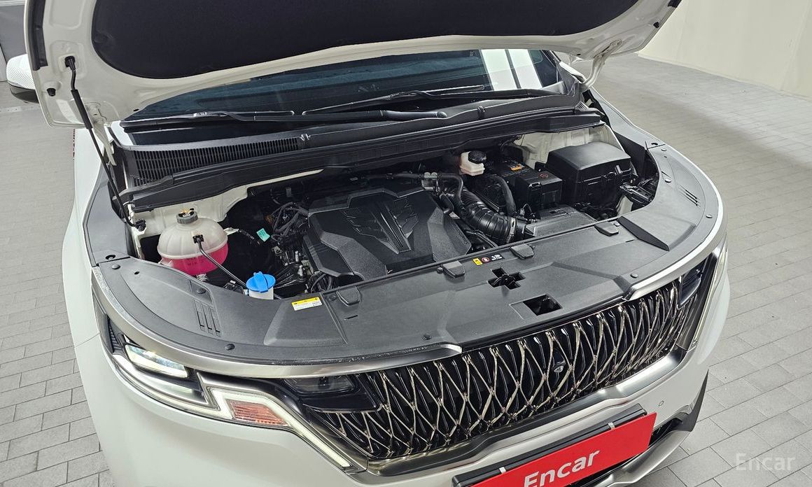  Kia Canival