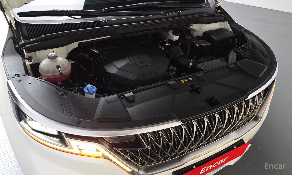  Kia Canival