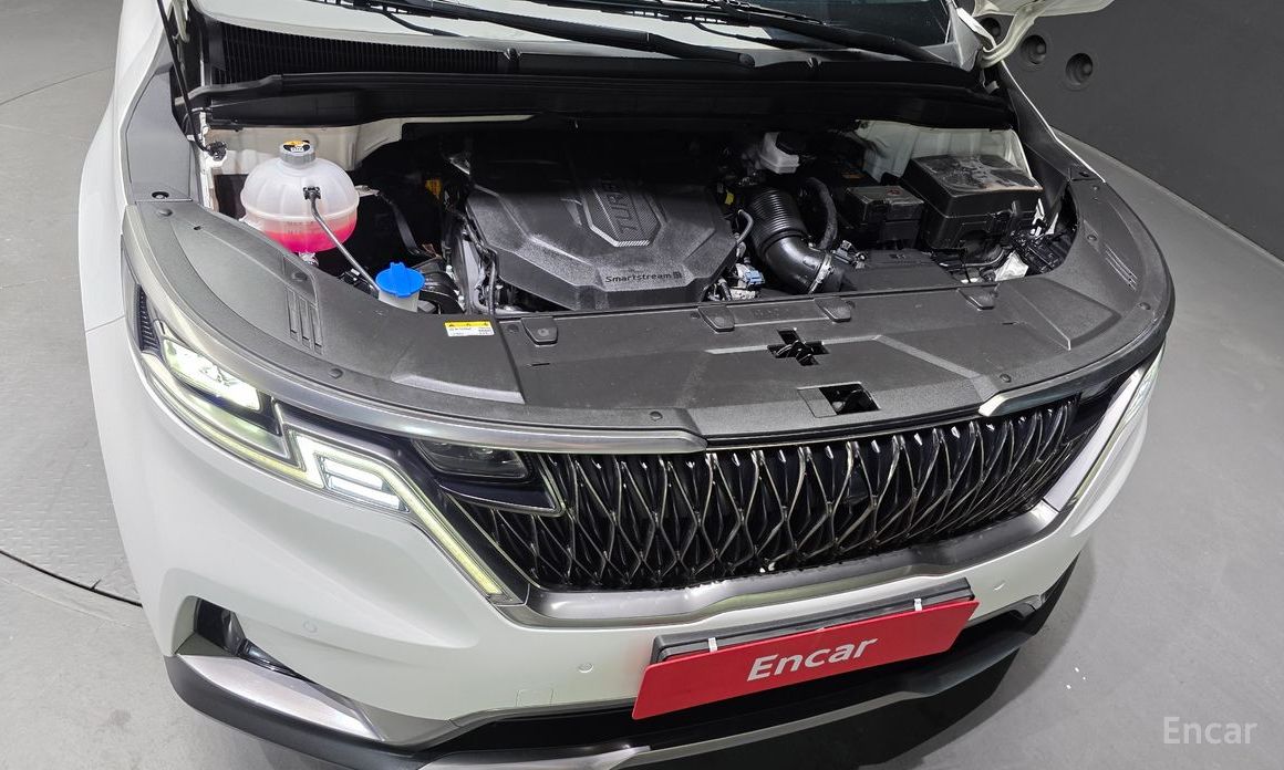  Kia Canival