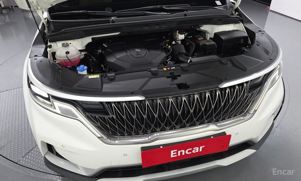  Kia Canival