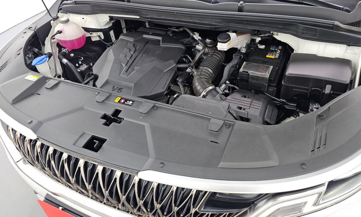  Kia Canival