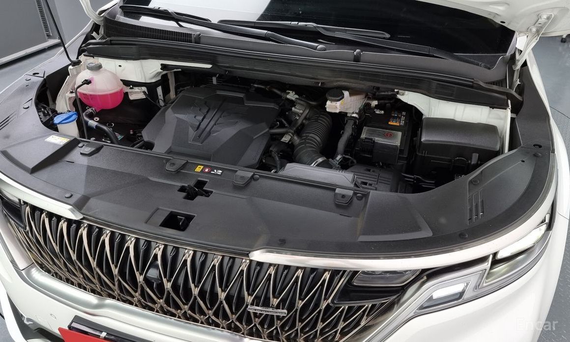  Kia Canival