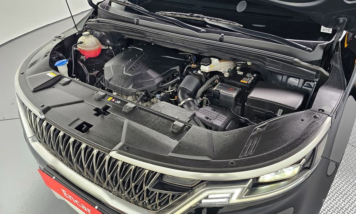  Kia Canival