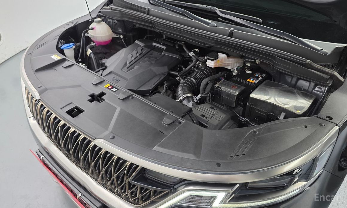  Kia Canival