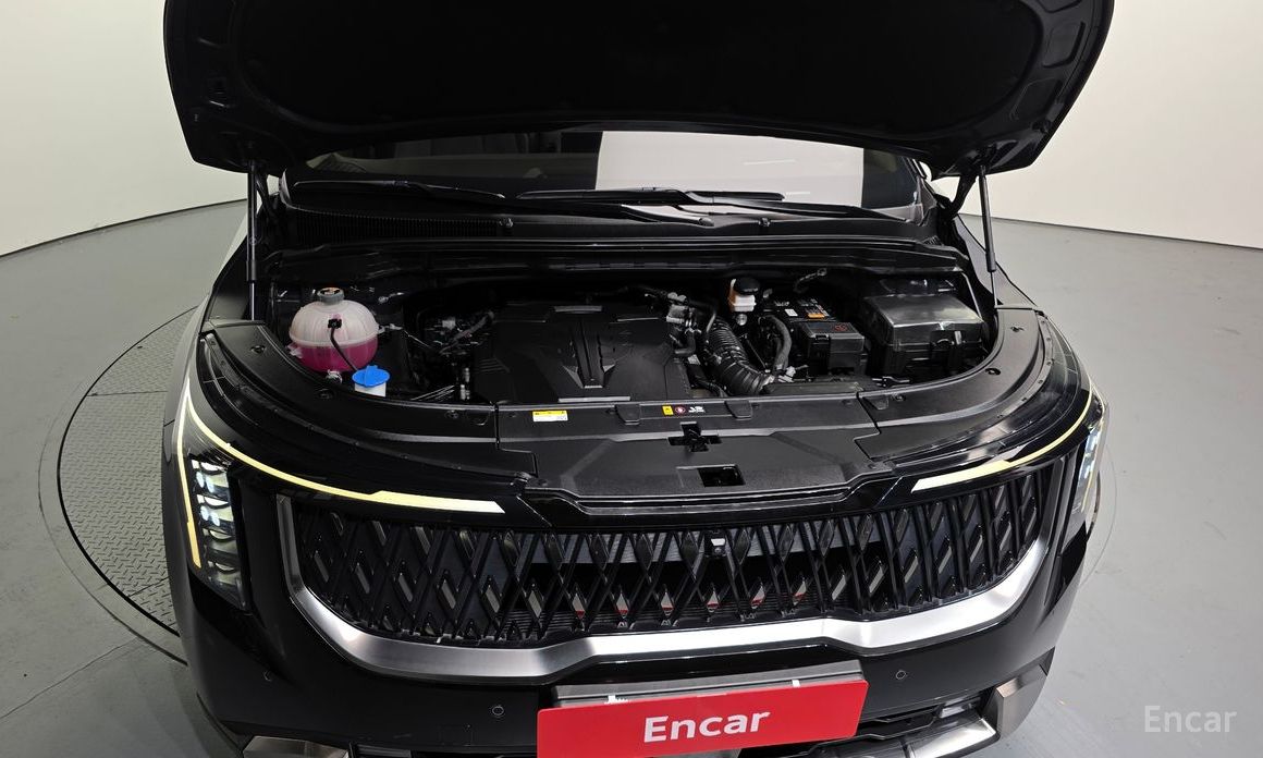  Kia Canival