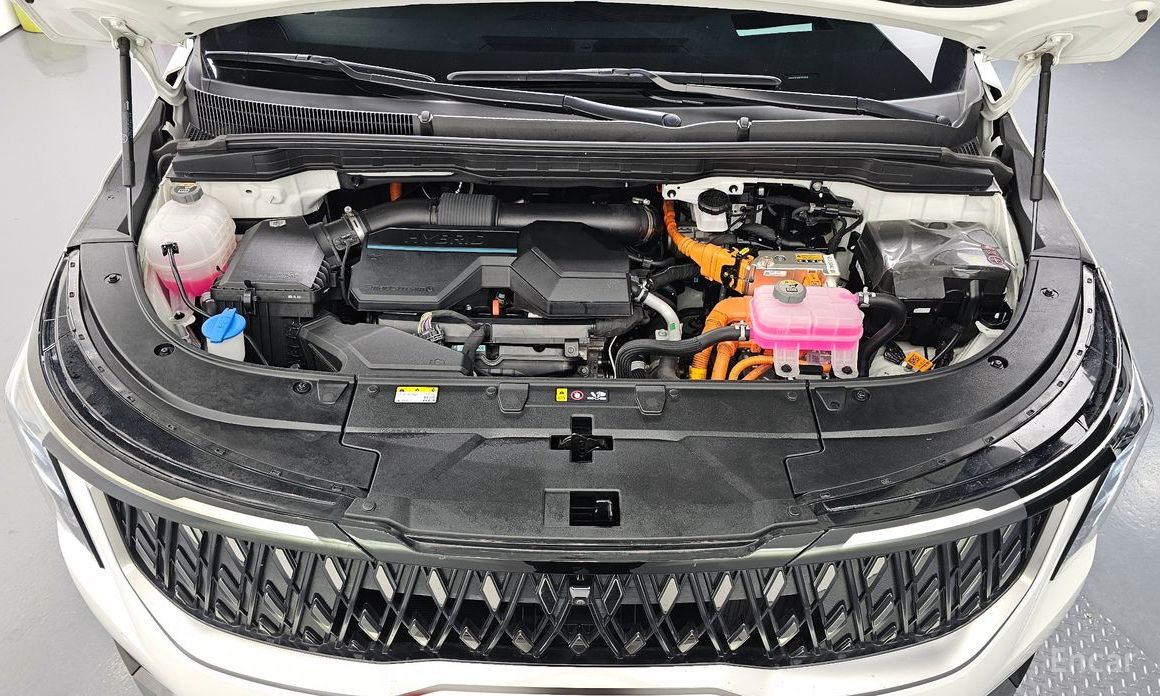  Kia Canival