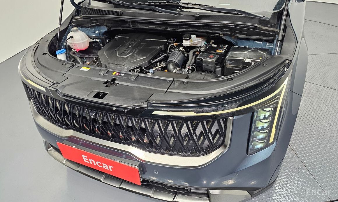  Kia Canival