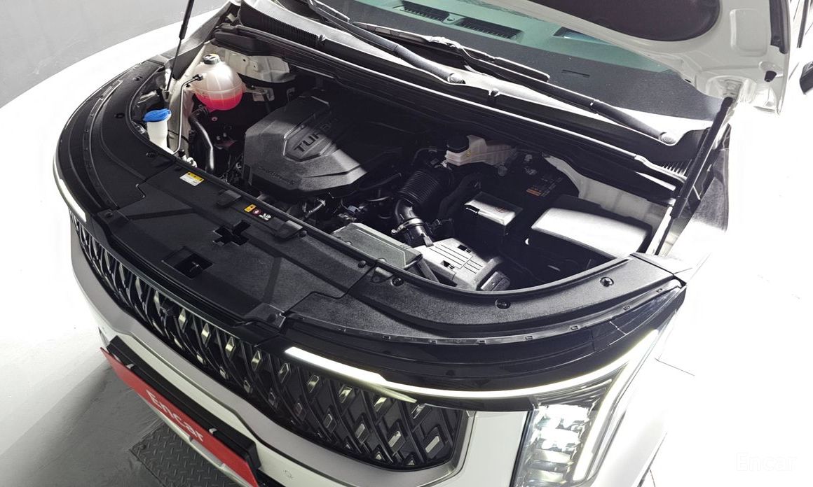  Kia Canival