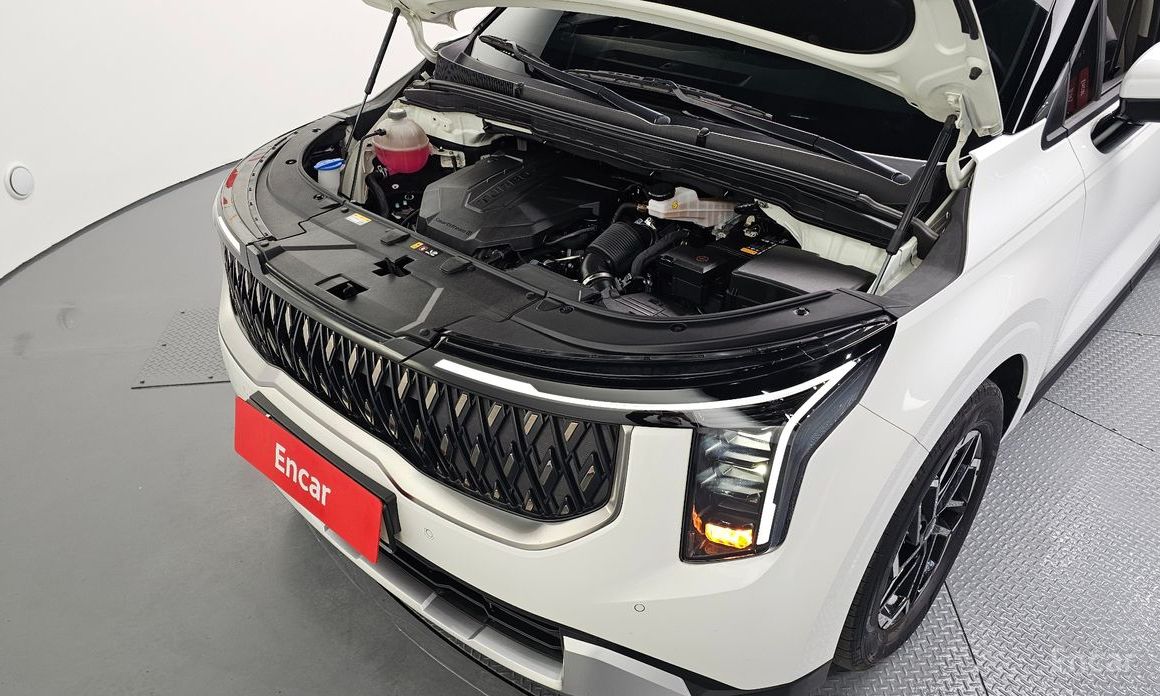  Kia Canival