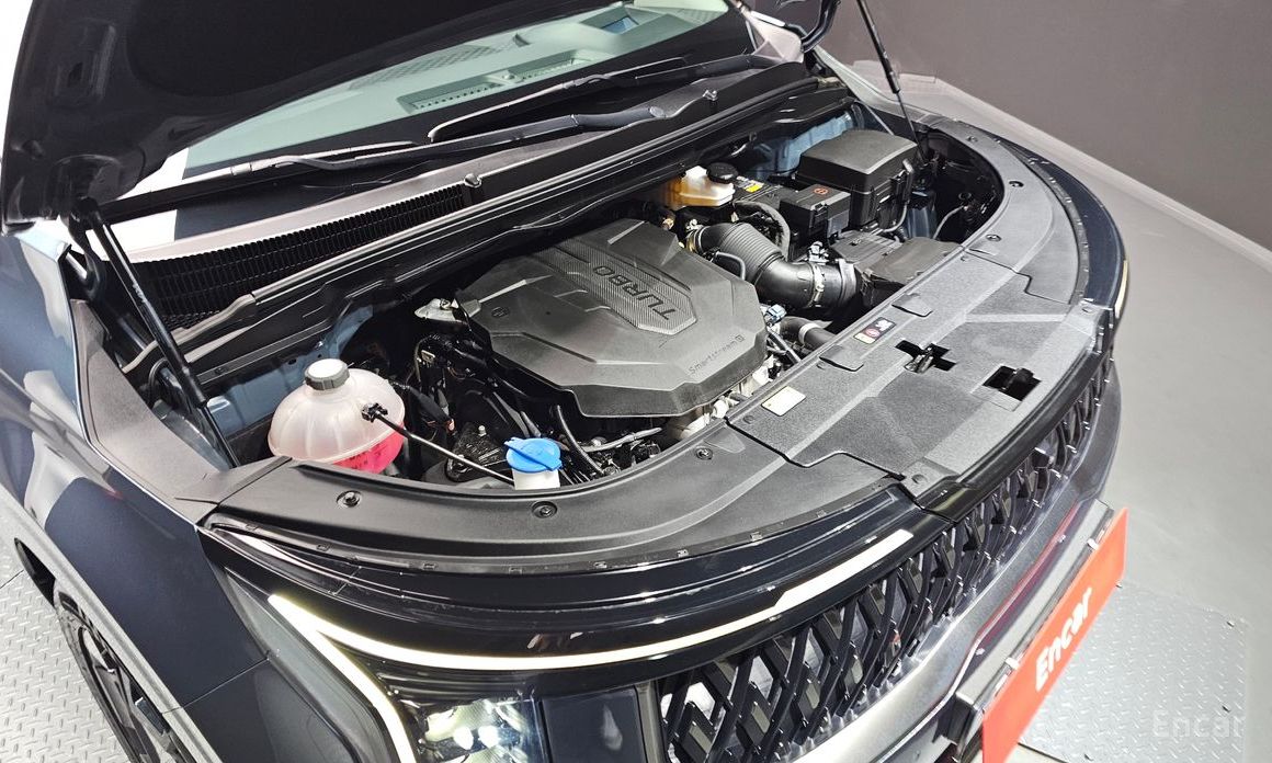  Kia Canival