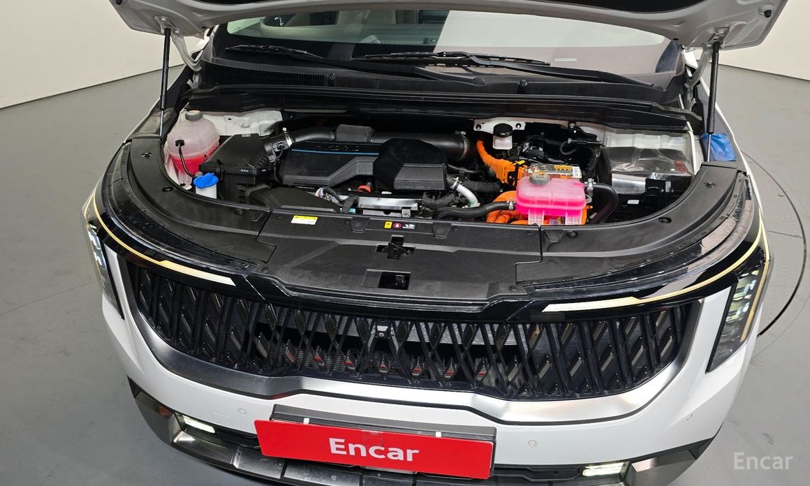  Kia Canival