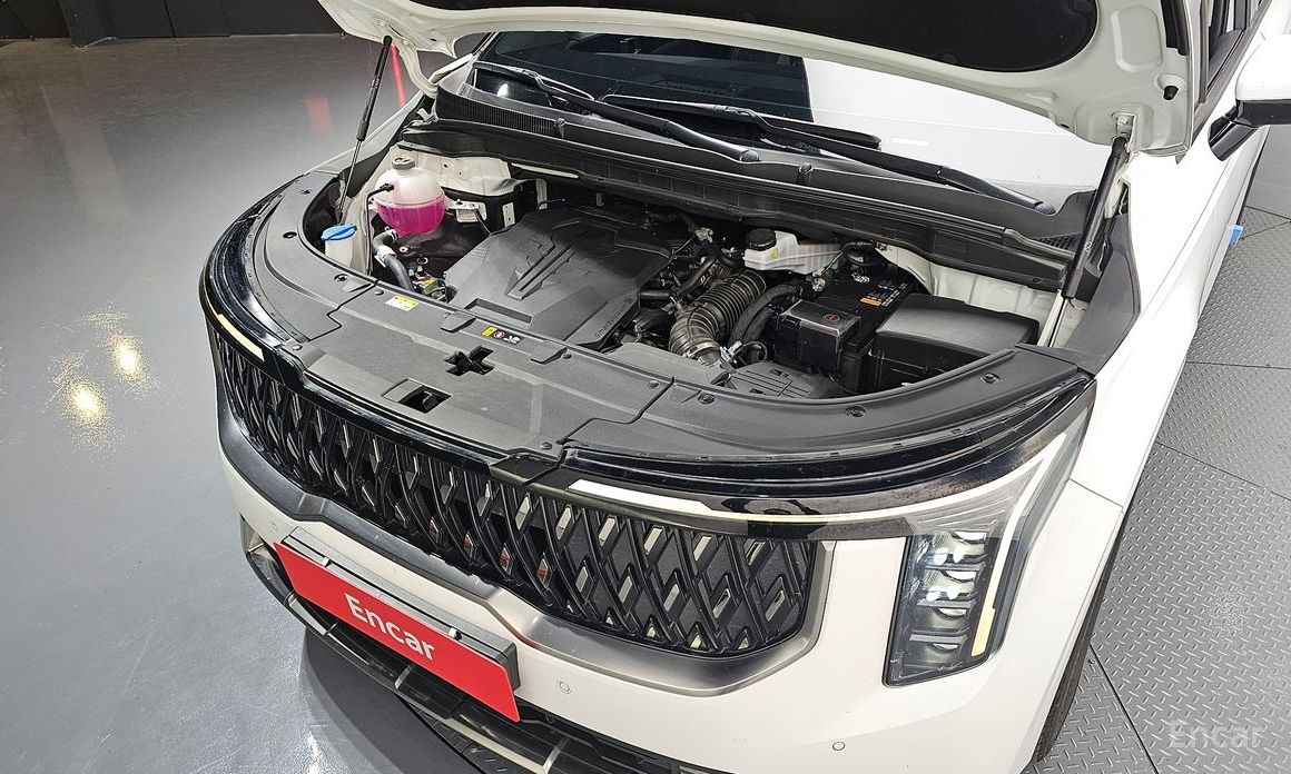  Kia Canival