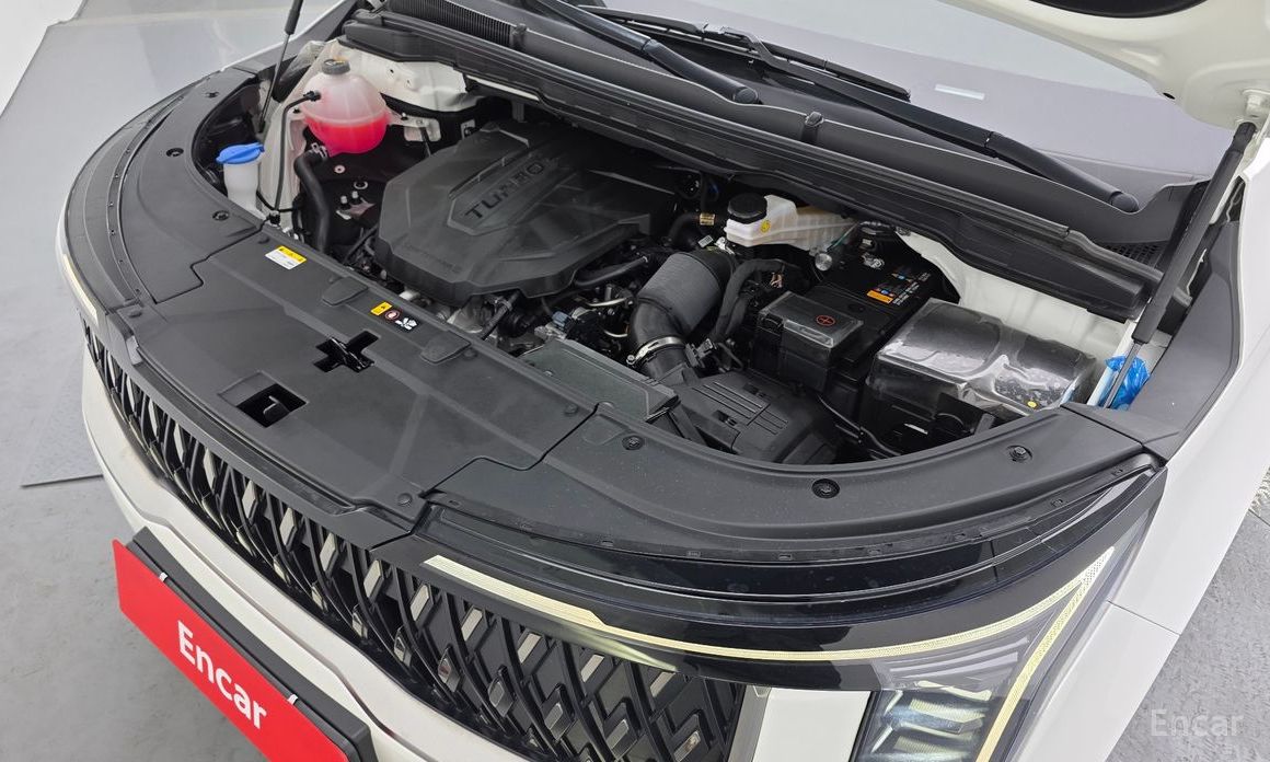  Kia Canival